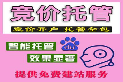 某某SEM公司经典案例：如何用SEM策略提升品牌知名度